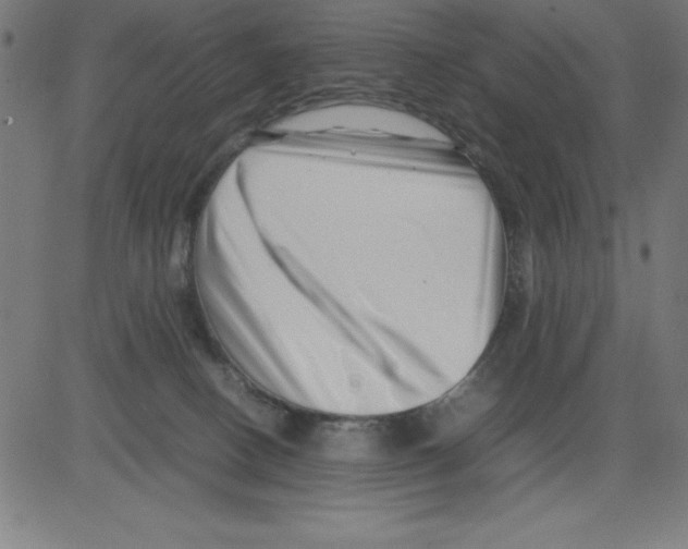 X0000081450082200702092300