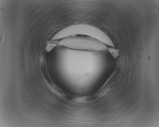X0000081450084200702092300