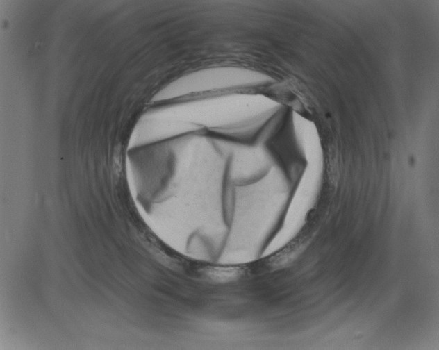 X0000081450085200702092300