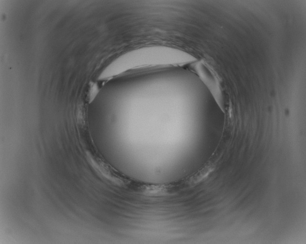X0000081450088200702092300