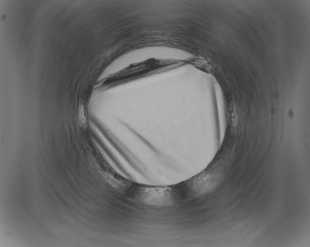 X0000081450089200702092300