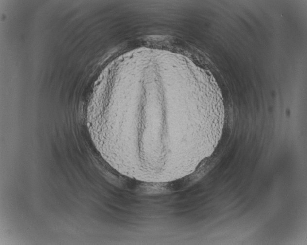 X0000081450093200702092300