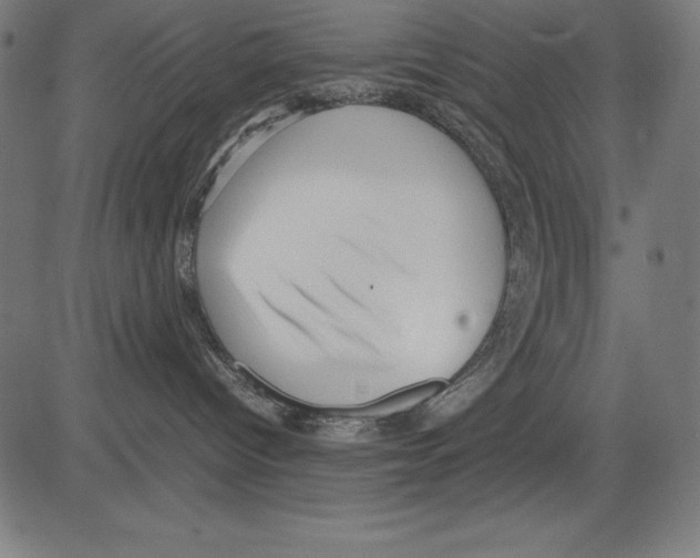 X0000081450096200702092300