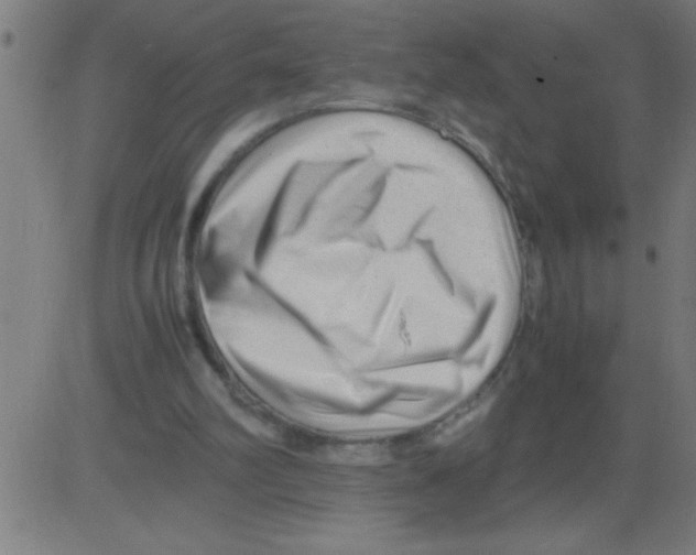 X0000081450102200702092300