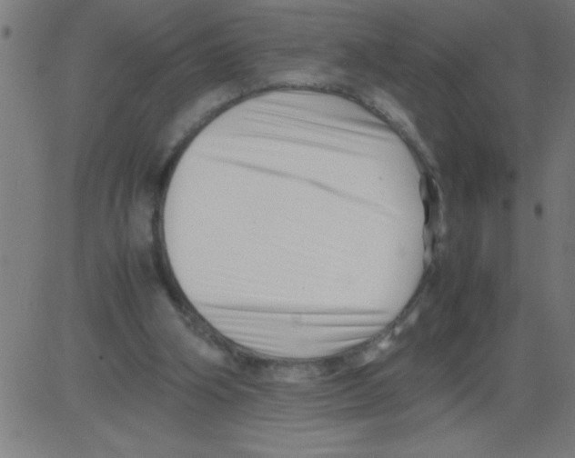X0000081450106200702092259