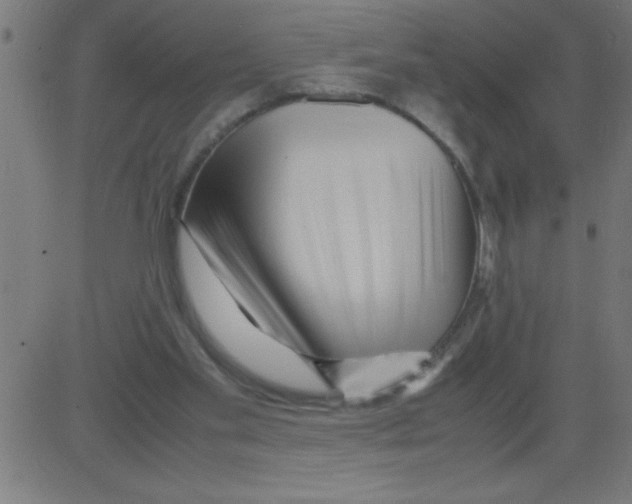 X0000081450109200702092259