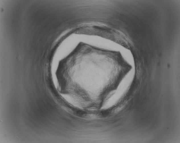 X0000081450111200702092259