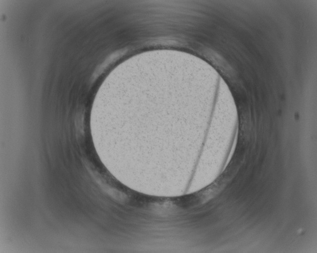 X0000081450112200702092259