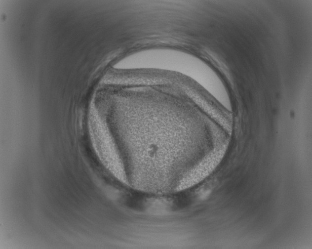 X0000081450115200702092259