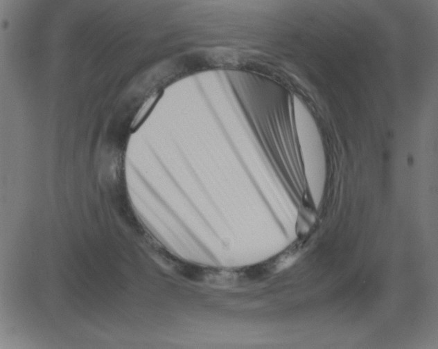 X0000081450125200702092259