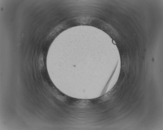 X0000081450128200702092259
