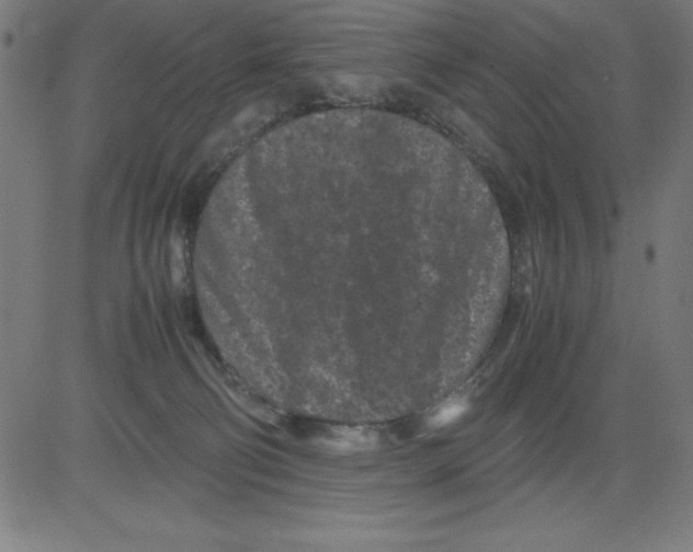 X0000081450130200702092259