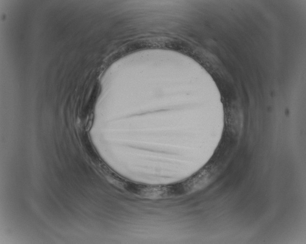 X0000081450131200702092259