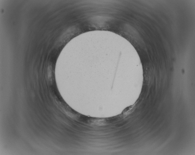 X0000081450132200702092259