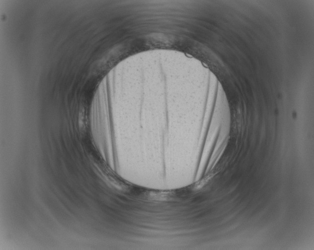 X0000081450134200702092259