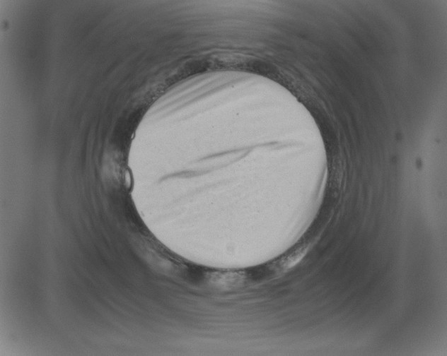 X0000081450135200702092259