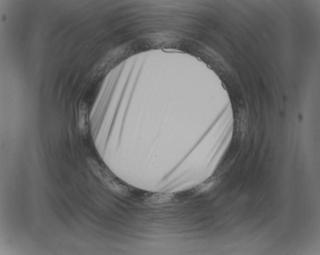 X0000081450138200702092259