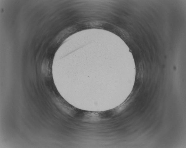 X0000081450140200702092259