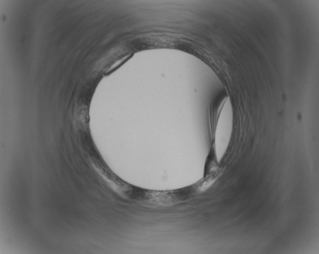 X0000081450141200702092259