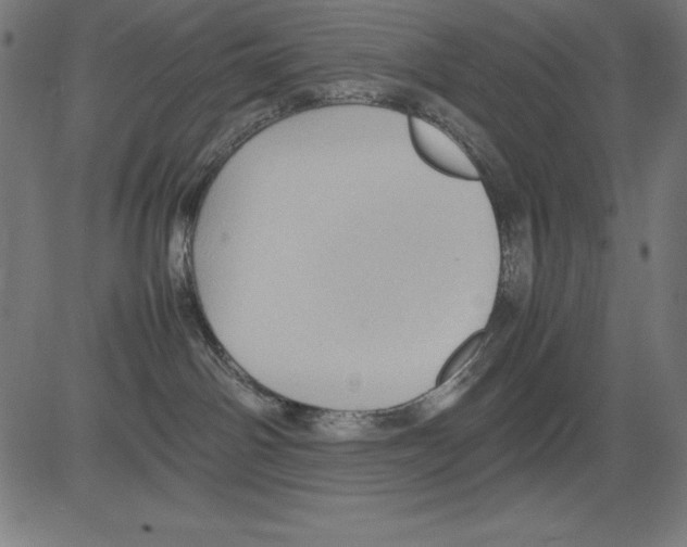 X0000081450142200702092259