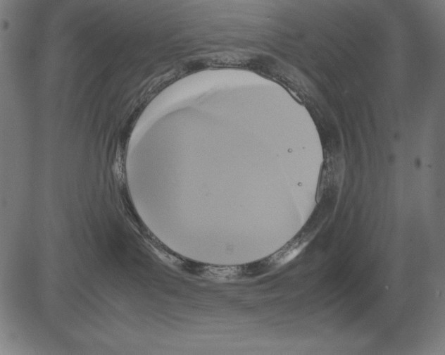 X0000081450143200702092259