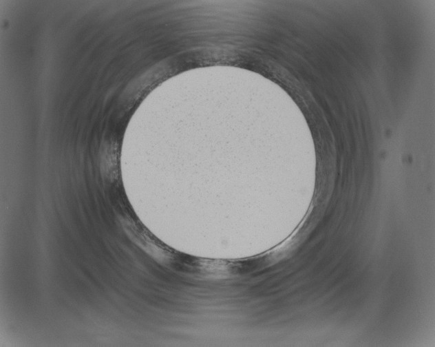 X0000081450144200702092259