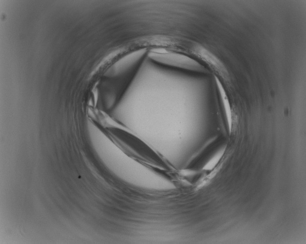 X0000081450158200702092258
