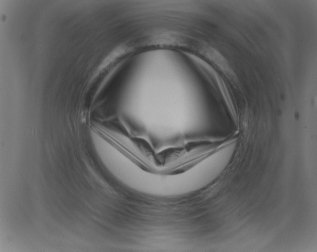 X0000081450160200702092258