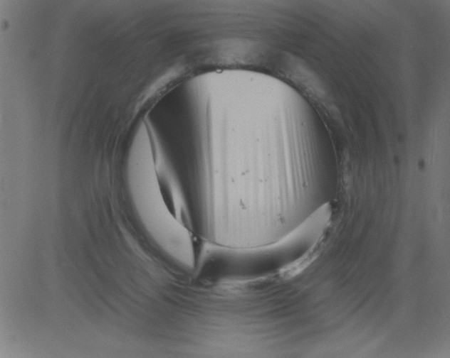 X0000081450164200702092258