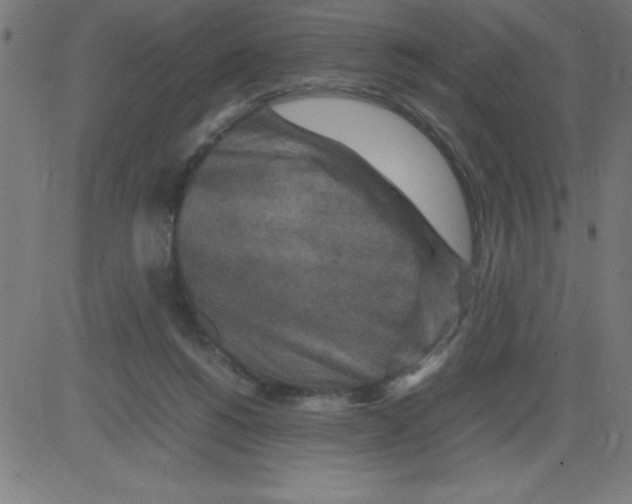 X0000081450168200702092258