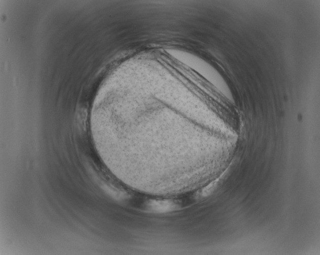 X0000081450171200702092259