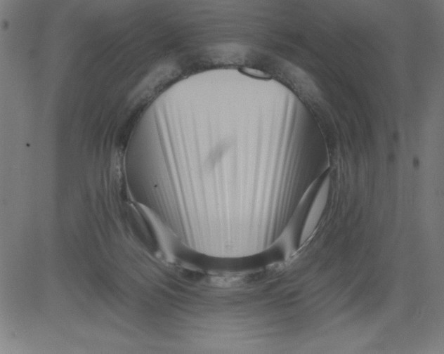 X0000081450172200702092259