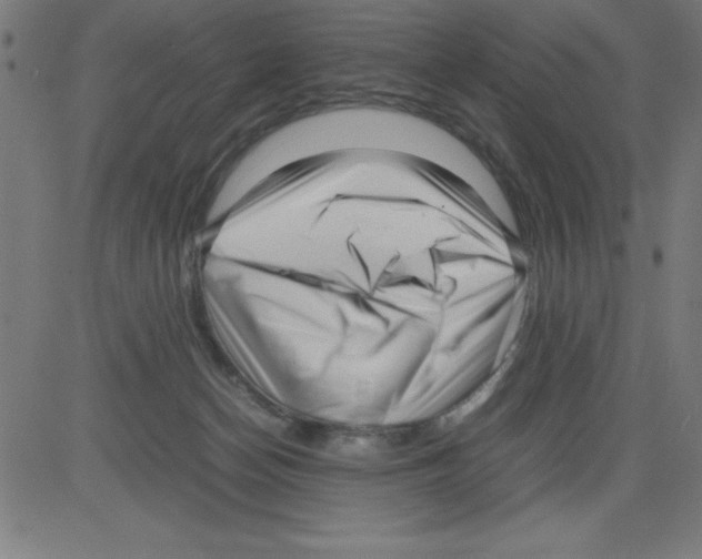 X0000081450174200702092259