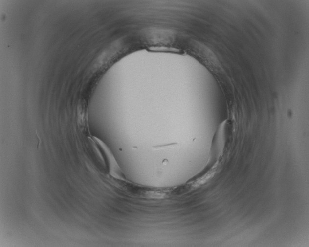 X0000081450176200702092259