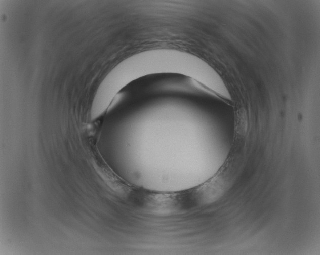 X0000081450184200702092259
