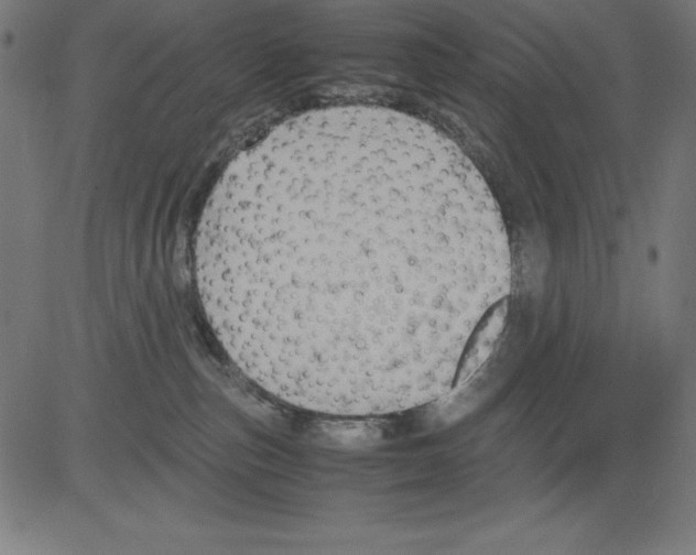 X0000081450187200702092259