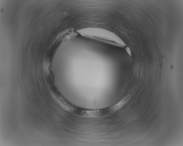 X0000081450188200702092259