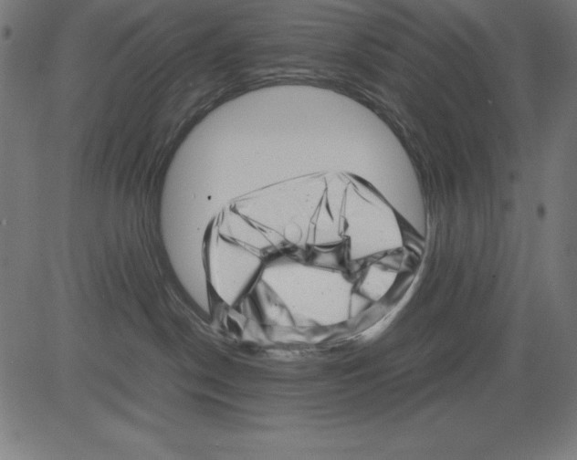 X0000081450190200702092259