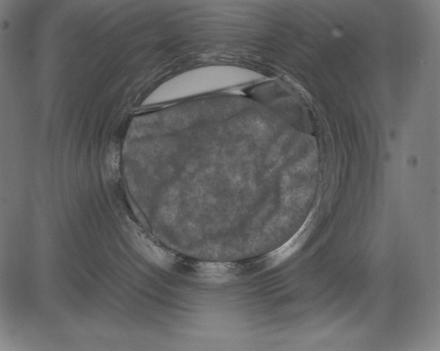 X0000081450192200702092259