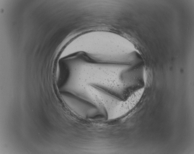 X0000081450195200702092258