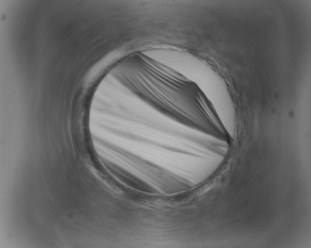 X0000081450197200702092258