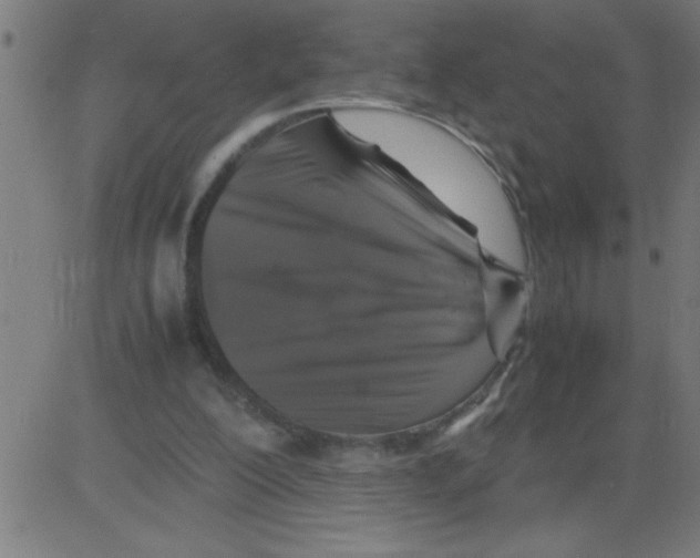X0000081450200200702092258