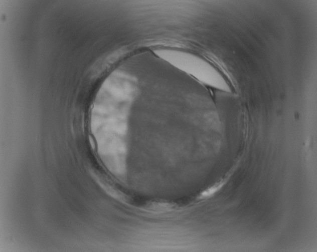 X0000081450205200702092258