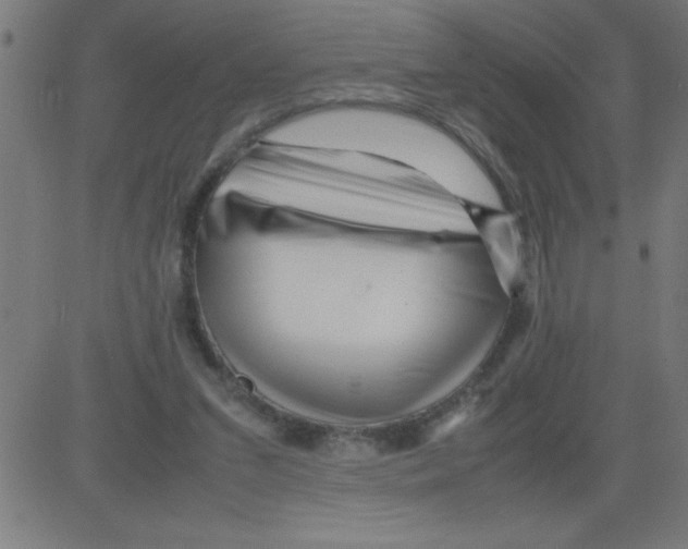 X0000081450207200702092258