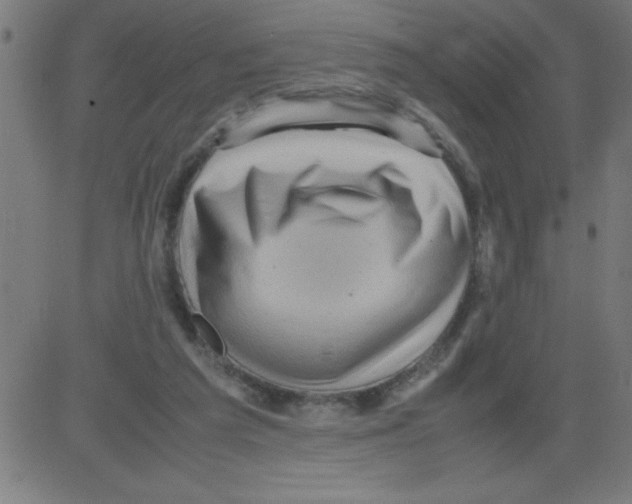 X0000081450209200702092258