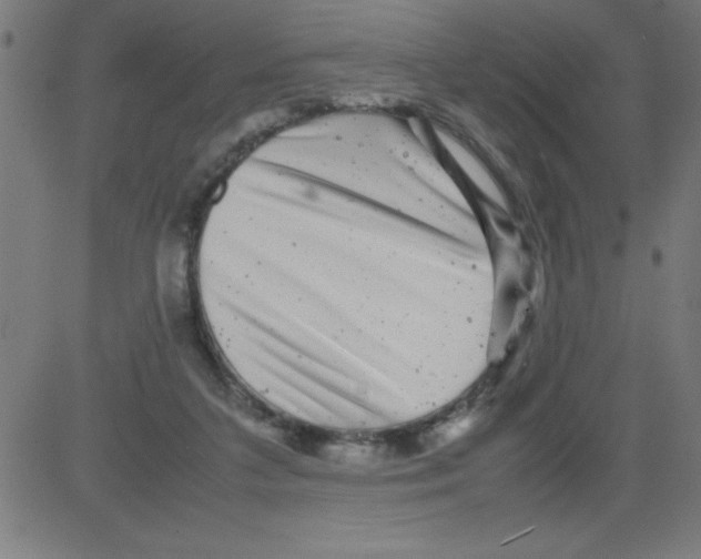 X0000081450211200702092258