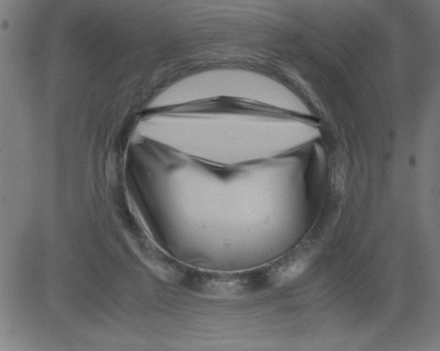 X0000081450213200702092258