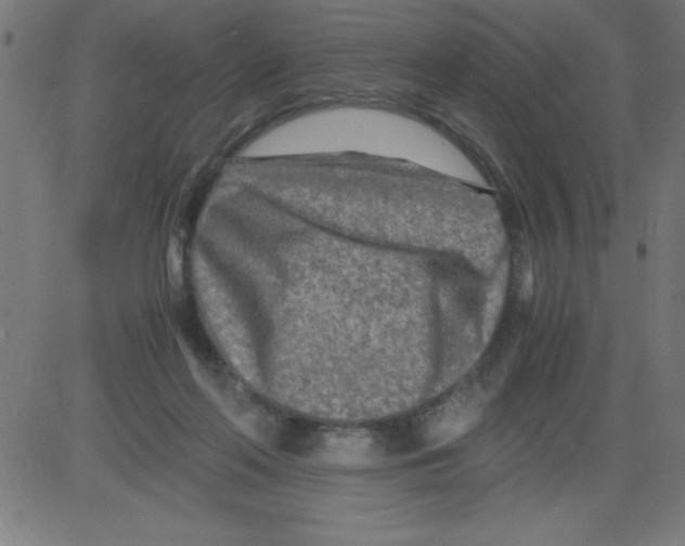 X0000081450214200702092258