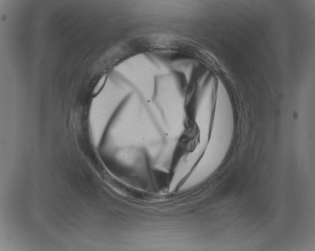 X0000081450217200702092258
