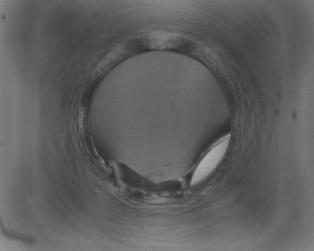 X0000081450219200702092258